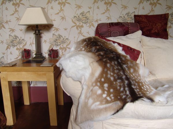 CP6 K-Tan Home Tanning Kit for Deer, Sheep, Fox Skins, Cow Hide + More - Image 3
