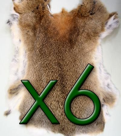 6 x Natural Rabbit Skins Tanned Real Fur for Animal Training, Dummy, Crafts