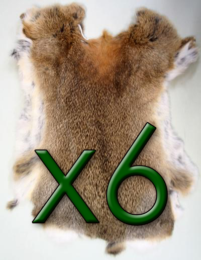 6 x Natural Rabbit Skins Tanned Real Fur for Animal Training, Dummy, Crafts