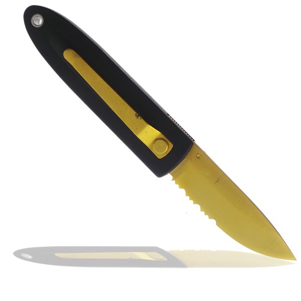 Buck Gold Crosslock Combo Blade,  | SportingCutlery.co.uk