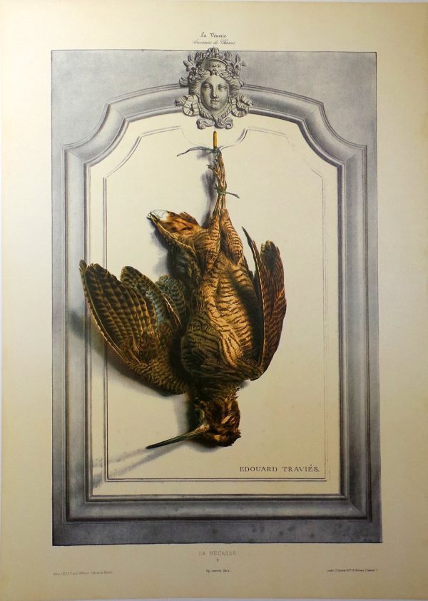 Woodcock Bird Wildlife Artist Painting Dead Game Print