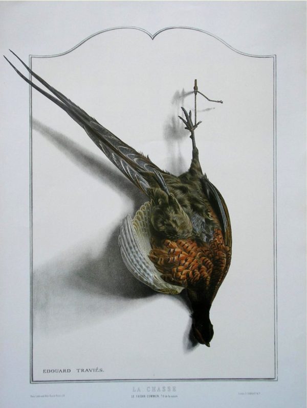 Pheasant Bird Wildlife Artist Painting Dead Game Print