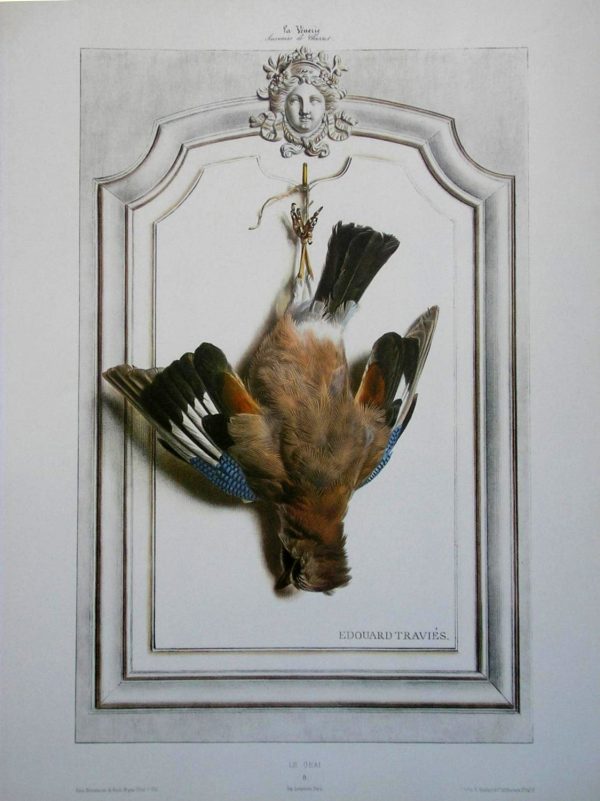 Jay Bird Wildlife Artist Painting Dead Game Print