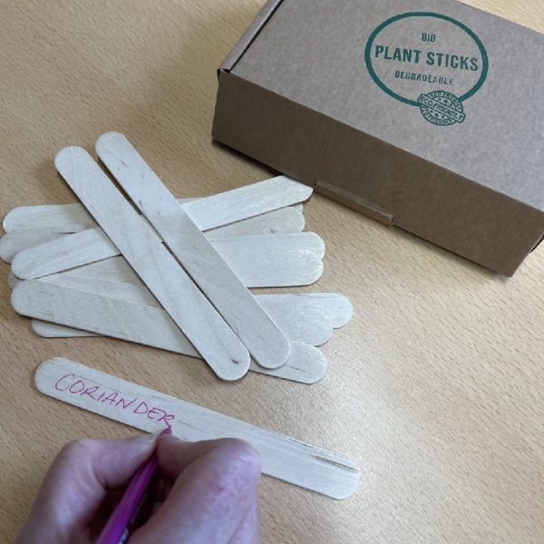 STS 100pcs - Wooden Plant Labels, Large Wooden Plant Markers Sign Eco-Friendly Garden Labels Tags for Potted Plants Herb Seed Vegetable Flowers (15x1.8cm) - Rounded Ends Prevent Root Damage. - Image 4
