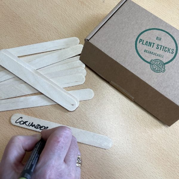 STS 100pcs - Wooden Plant Labels, Large Wooden Plant Markers Sign Eco-Friendly Garden Labels Tags for Potted Plants Herb Seed Vegetable Flowers (15x1.8cm) - Rounded Ends Prevent Root Damage. - Image 2
