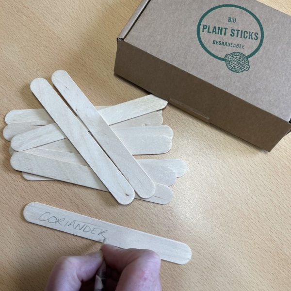 STS 100pcs - Wooden Plant Labels, Large Wooden Plant Markers Sign Eco-Friendly Garden Labels Tags for Potted Plants Herb Seed Vegetable Flowers (15x1.8cm) - Rounded Ends Prevent Root Damage. - Image 6