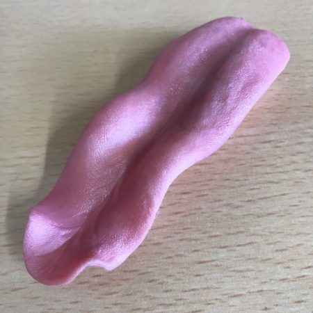 Coyote Tongue Resting by Mohr ™ | SnowdoniaSupplies.co.uk