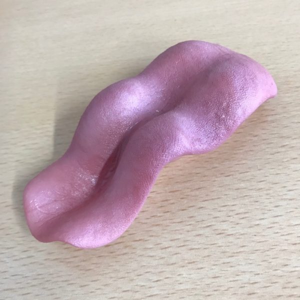 Artificial Wolf Tongue Raised by Mohr | SnowdoniaSupplies.co.uk