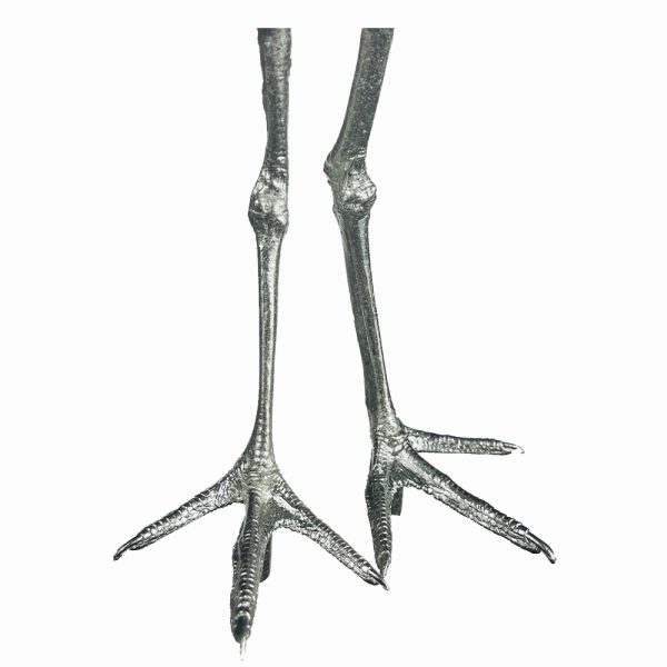 Pewter Bird Feet - Suitable for Golden Plover and Lapwing