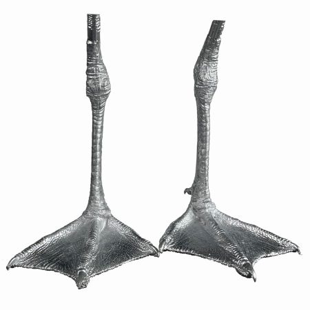 Pewter Bird Feet Kittiwake Gull