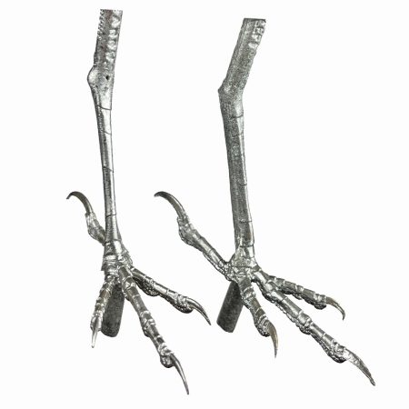 Pewter Bird Feet Meadowlark