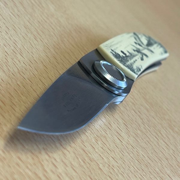 Gerber Paul Knife Fine Edge Folding lock knife - Image 12