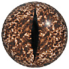 Speckled Brown Reptile eyes