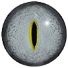 Blue Grey Reptile eyes