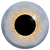 Light Grey Orange glass eyes with a round pupil