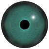 Green Black glass eyes with a round pupil