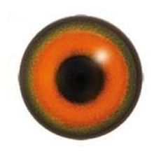 Acrylic Multicoloured CC eyes