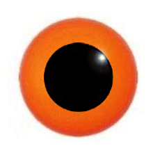 Multi - coloured Round Pupil Dome Shape Acrylic Bird Eyes