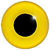 Golden Yellow Eyes on Wire