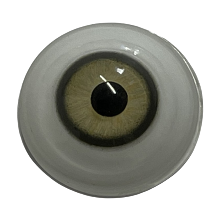 Aspheric Multi- coloured glass eye High quality, Dome Shaped Mannequin or Doll eyes