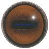 Mammal eyes with an oval pupil