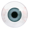 Blue Mannequin Eyes with Veining