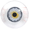 Multicoloured Glass CC eyes with round pupil and white sclera with veining