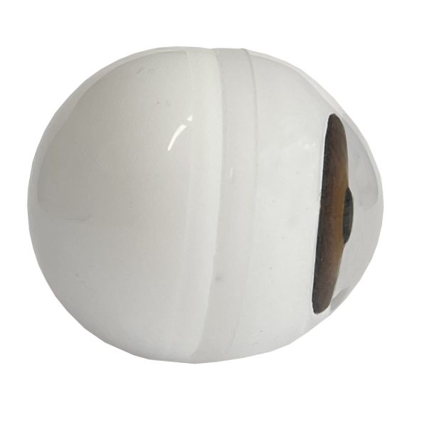 Multi-Coloured glass mannequin eye - white hemisphere backing - Image 2
