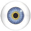 Multicoloured Glass CC eyes with round pupil and white sclera including white backing hemisphere