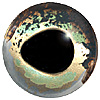 Silver /green/brown fish eye multicoloured CC