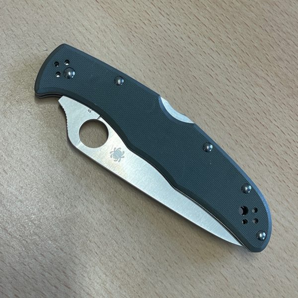 Spyderco Foliage Green Endura - Image 5