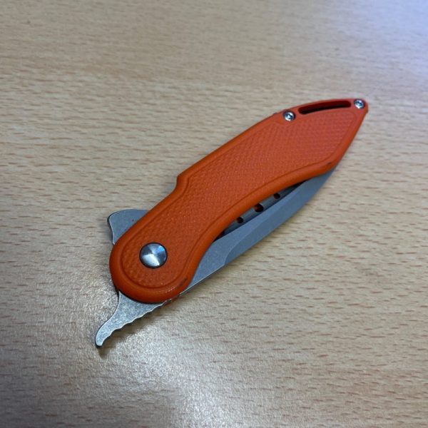 Todd Begg Mini Glimpse - Image 5