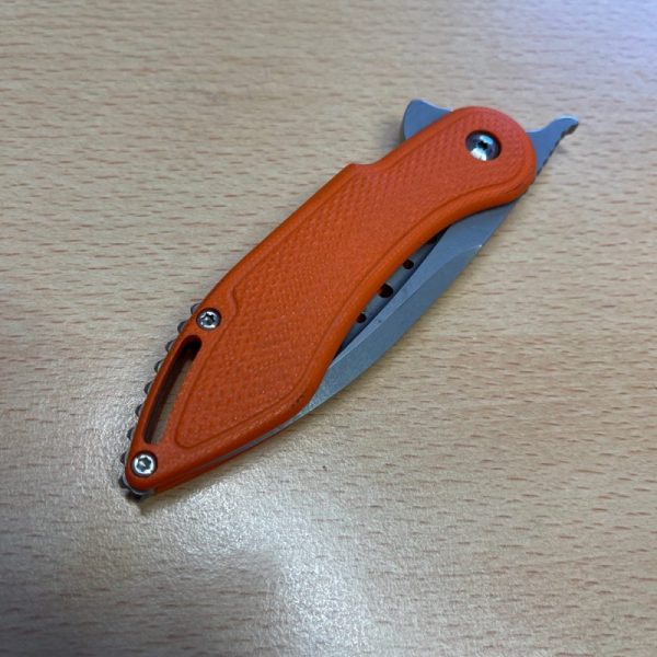 Todd Begg Mini Glimpse - Image 4