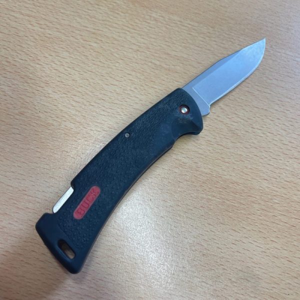 Buck Folding Protege Black 450C - Image 4