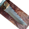 Jorgen spotteck knife - Image 5