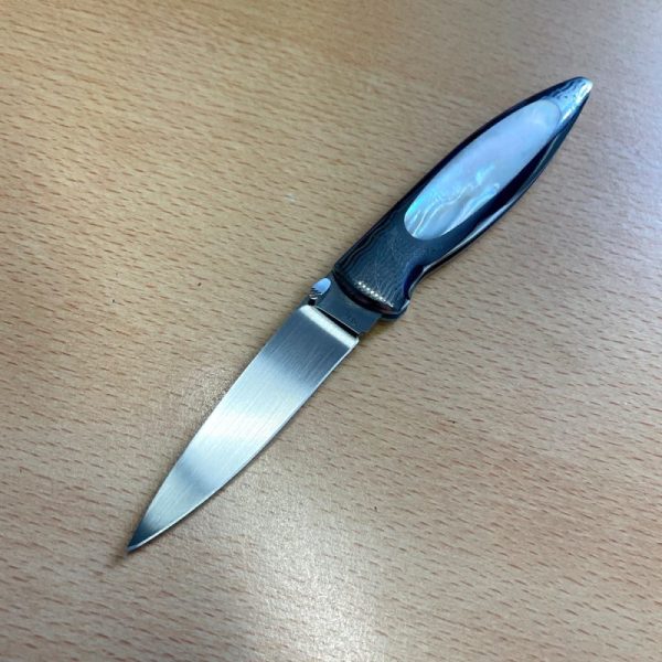 Hanwei Scale Release Folder - Image 2