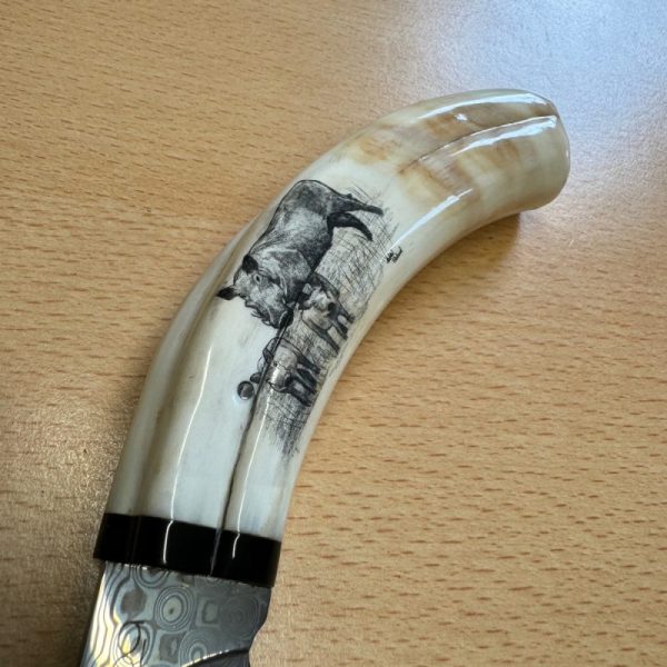 Pieter Annandale Warthog Tusk Scrimshaw - Image 2
