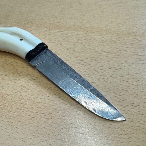 Pieter Annandale Warthog Tusk Scrimshaw - Image 9