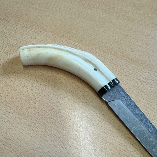Pieter Annandale Warthog Tusk Scrimshaw - Image 8