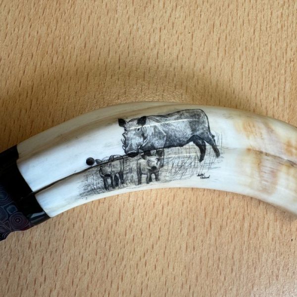 Pieter Annandale Warthog Tusk Scrimshaw - Image 6