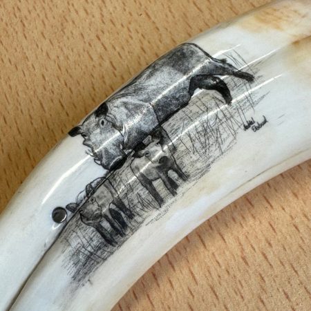 4216 g Pieter Annandale Giraffe bone with scrimshaw fixed