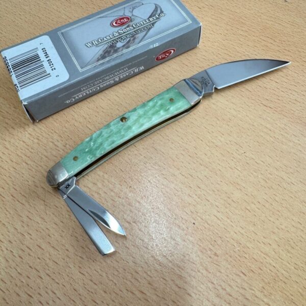 Case Seahorse Wittler Mint Green - Image 3