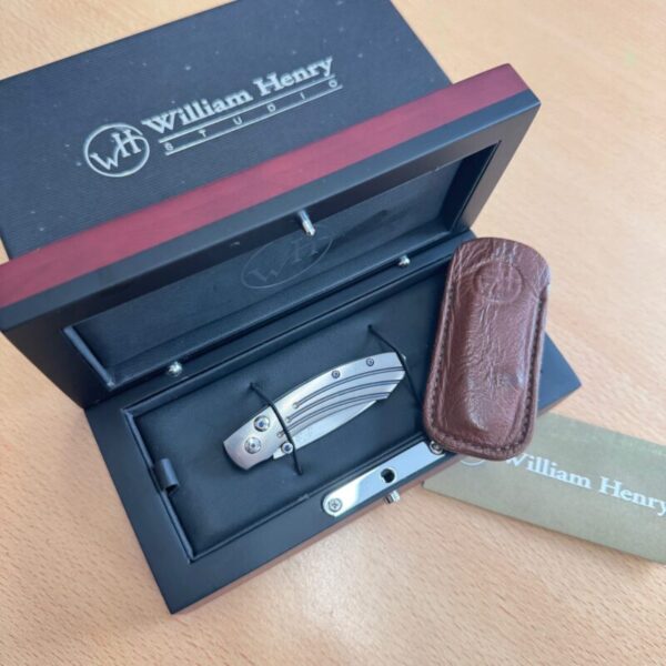 William Henry Kestrel Scout