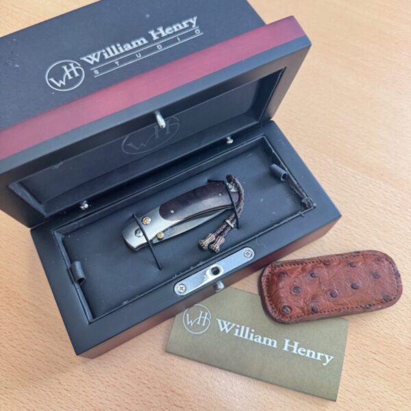 William Henry Kestrel Titanium