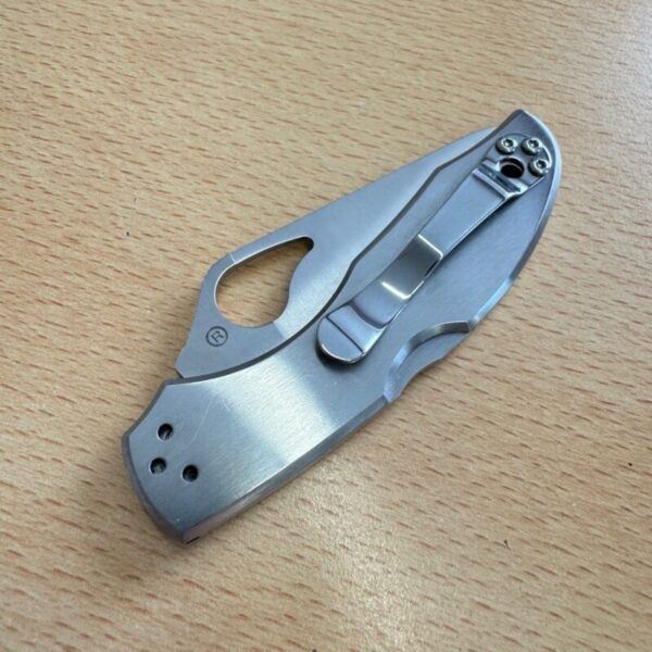 Spyderco Byrd Dent Lock - Image 3